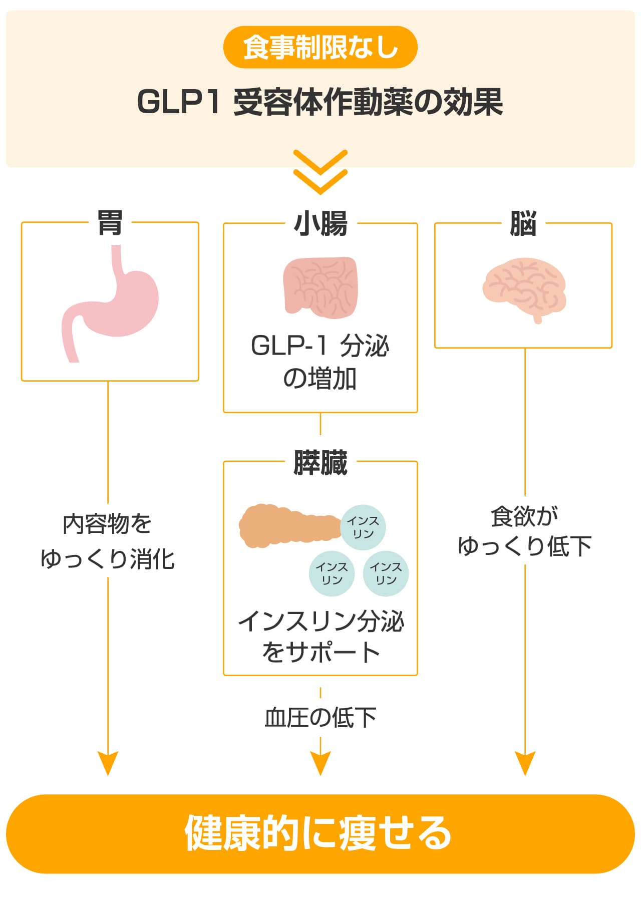 GLP-1受容体動作薬の効果