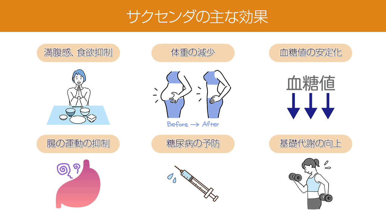 サクセンダのダイエット効果（満腹感、食欲抑制、体重減少、血糖値コントロール、腸蠕動の抑制、糖尿病予防、基礎代謝UP)