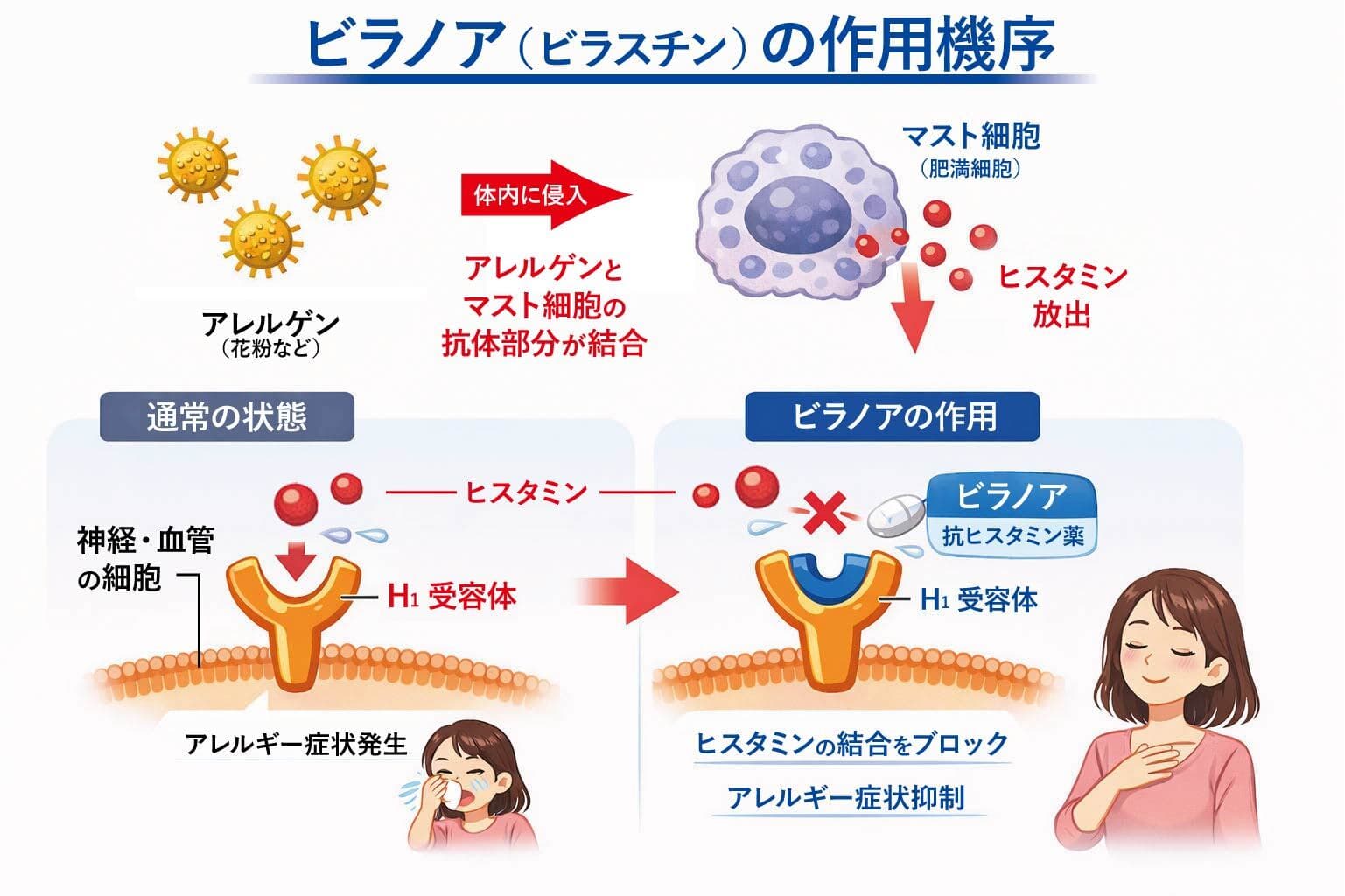 ビラノアの作用機序