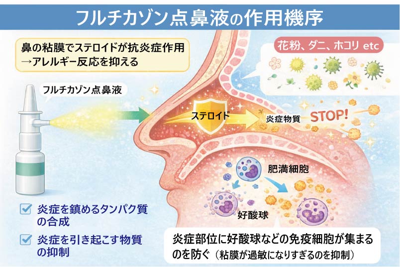 フルチカゾン点鼻液作用機序
