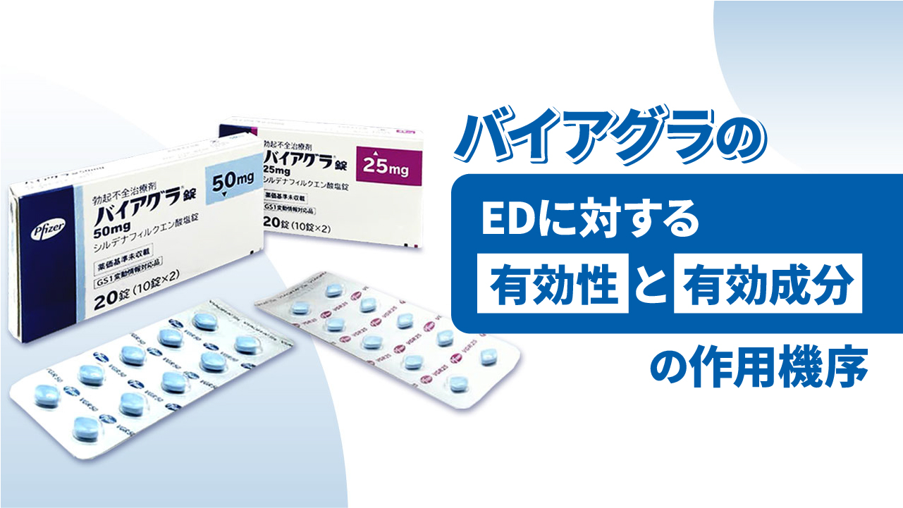 バイアグラのEDに対する有効性と作用機序