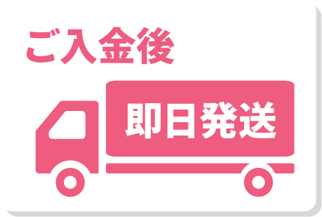 ご入金後即日発送