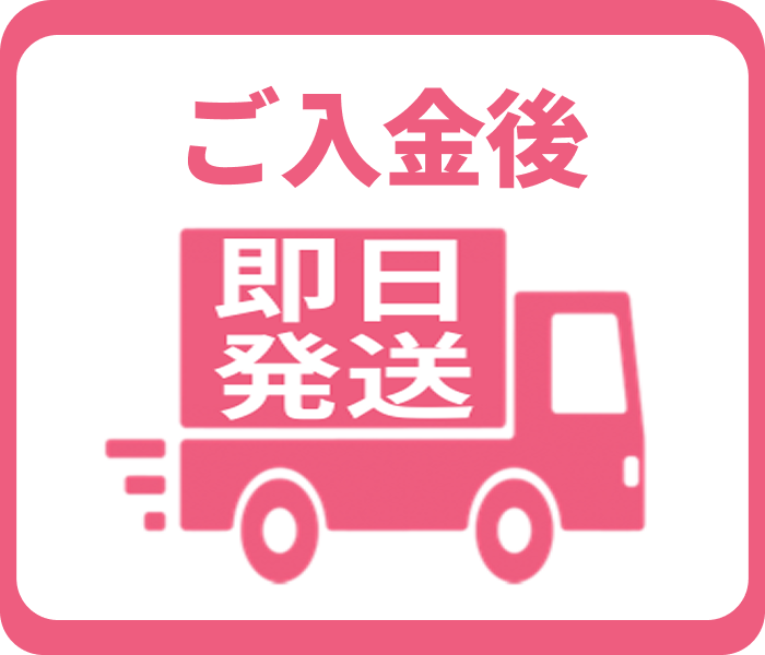 ご入金後即日発送