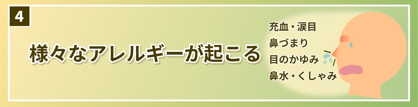 花粉症のメカニズム　4.様々なアレルギーが起こる