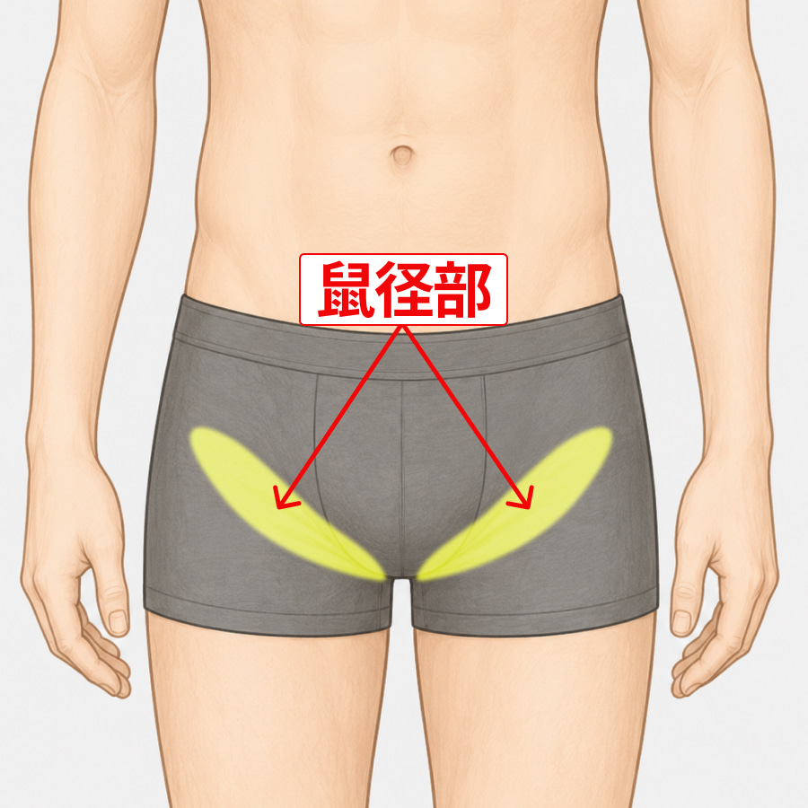 鼠径部