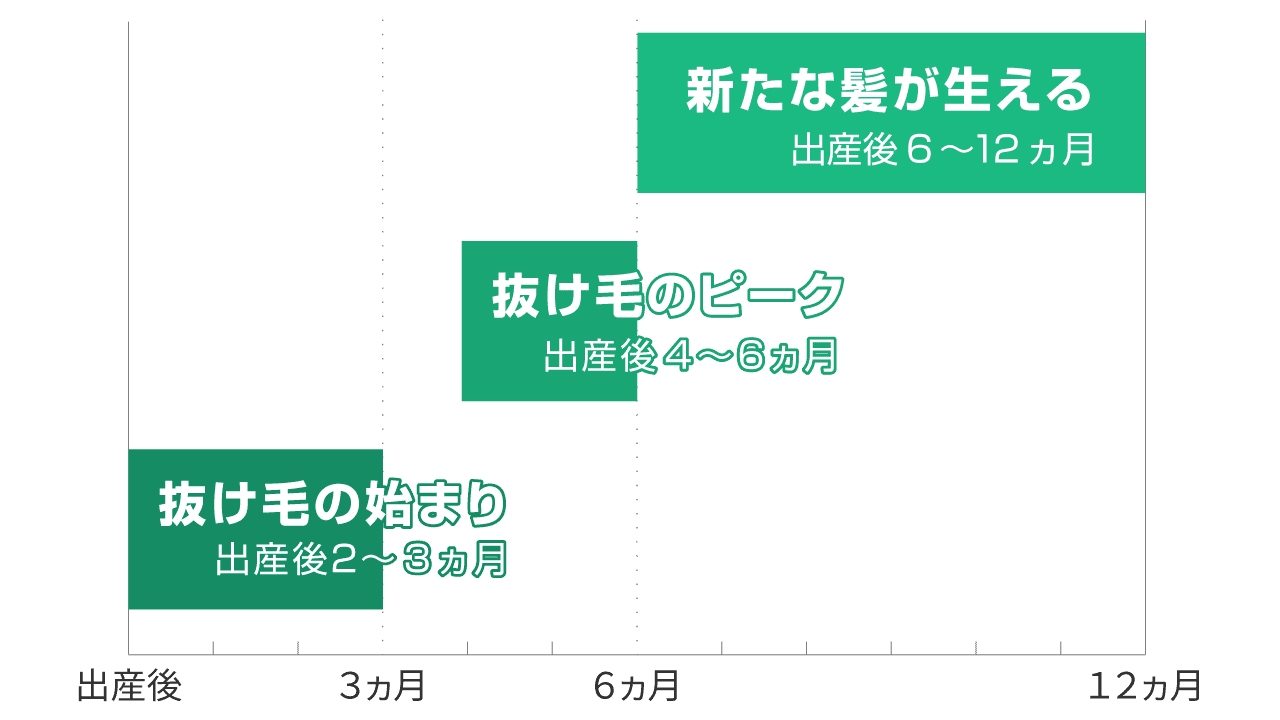 産後の抜け毛はいつから始まり、いつ終わる？