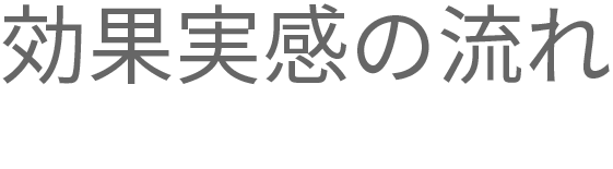 効果実感の流れ