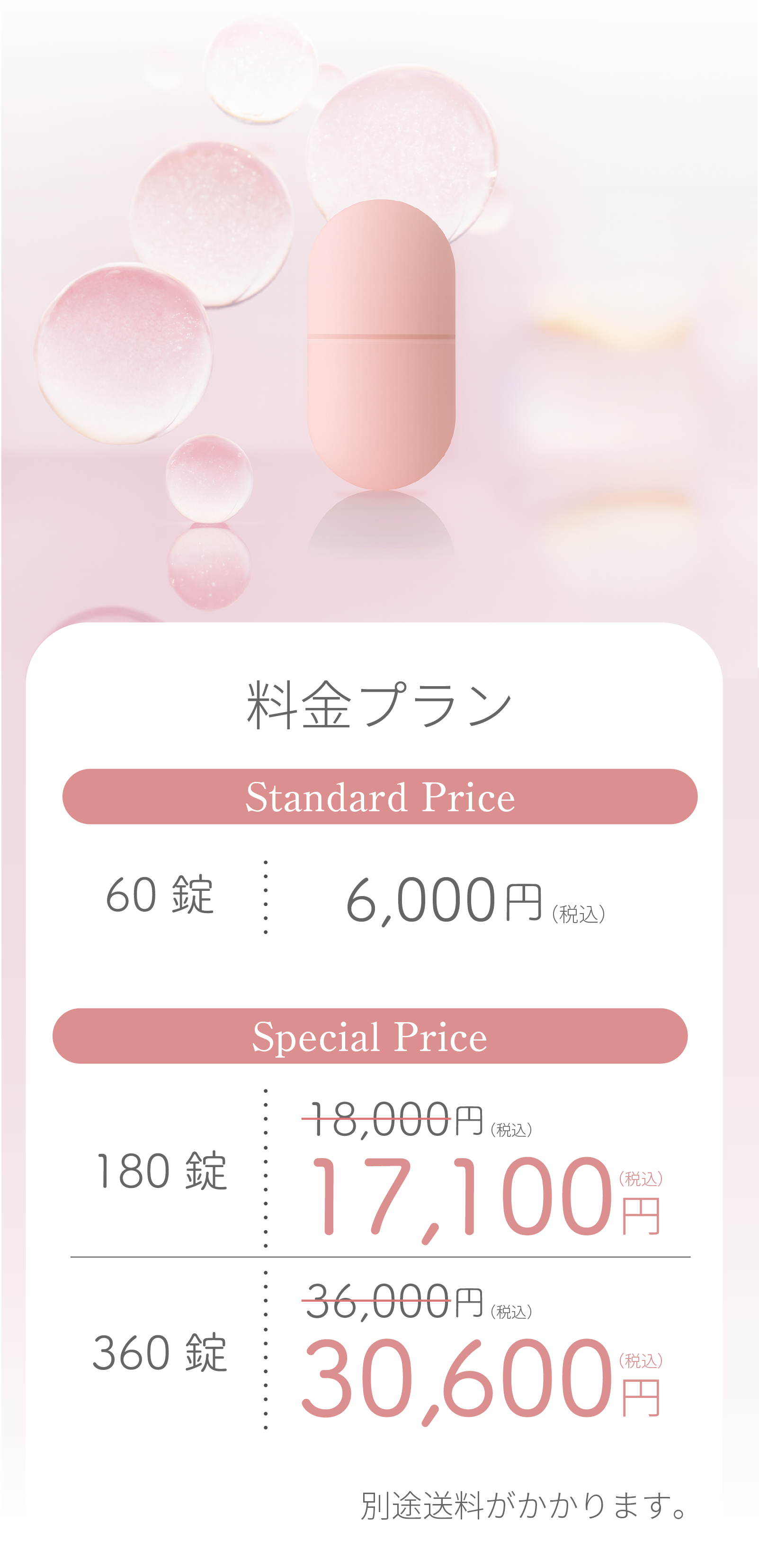  料金プラン