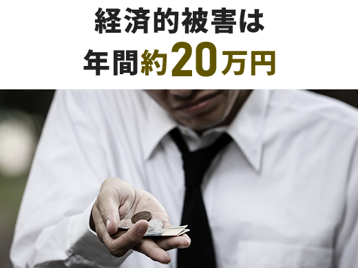 経済的被害は年間約20万円