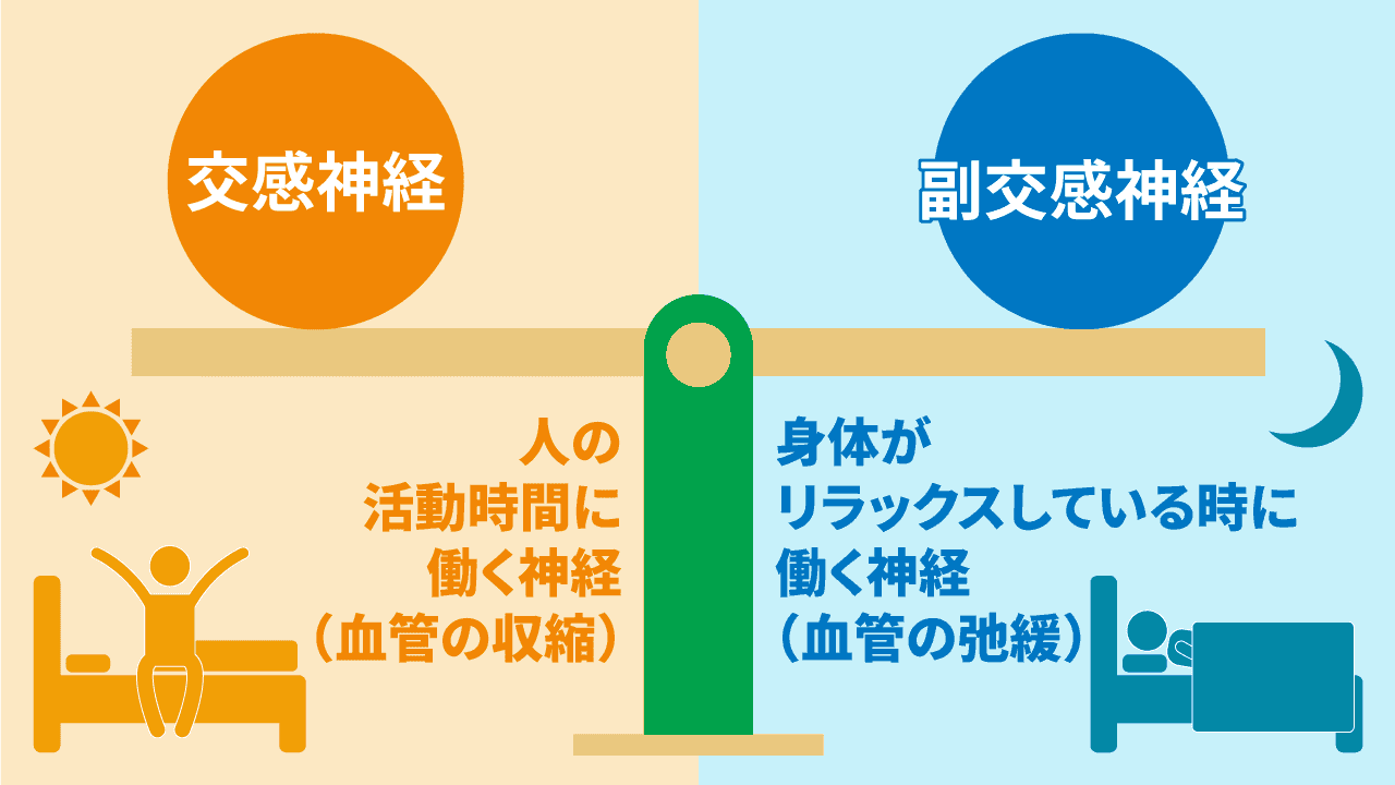 ストレスの影響を受けやすいのが自律神経