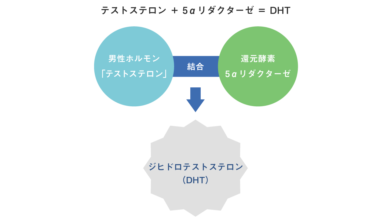 なぜノコギリヤシが髪に良いとされるのか？