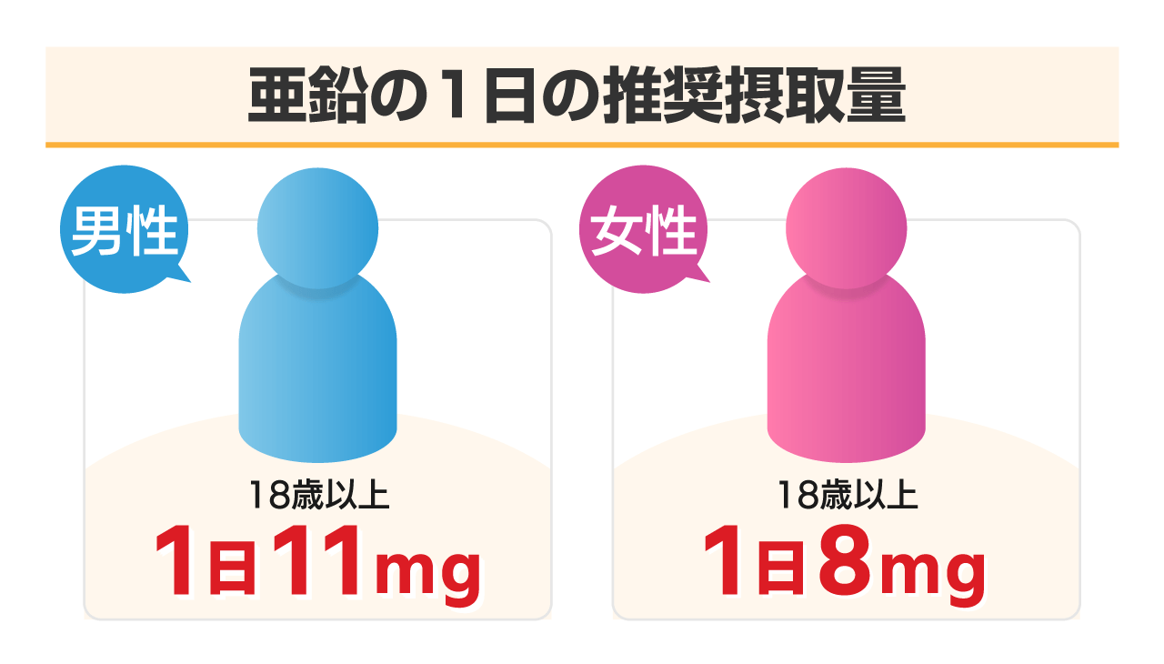 亜鉛の1日の推奨摂取量