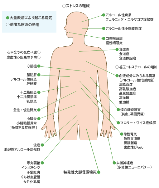 過剰飲酒による体への影響